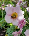 20200823_124908.jpg