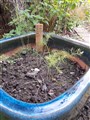 20201004_094338.jpg